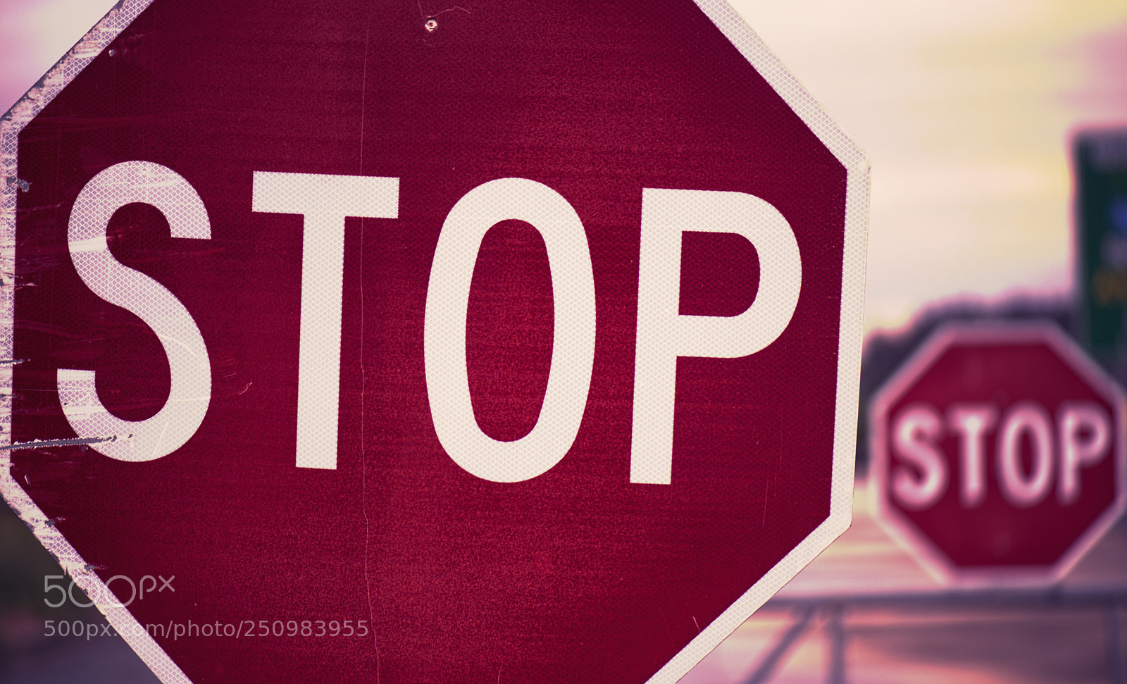 Nikon D800 sample photo. Road stop sign. photography