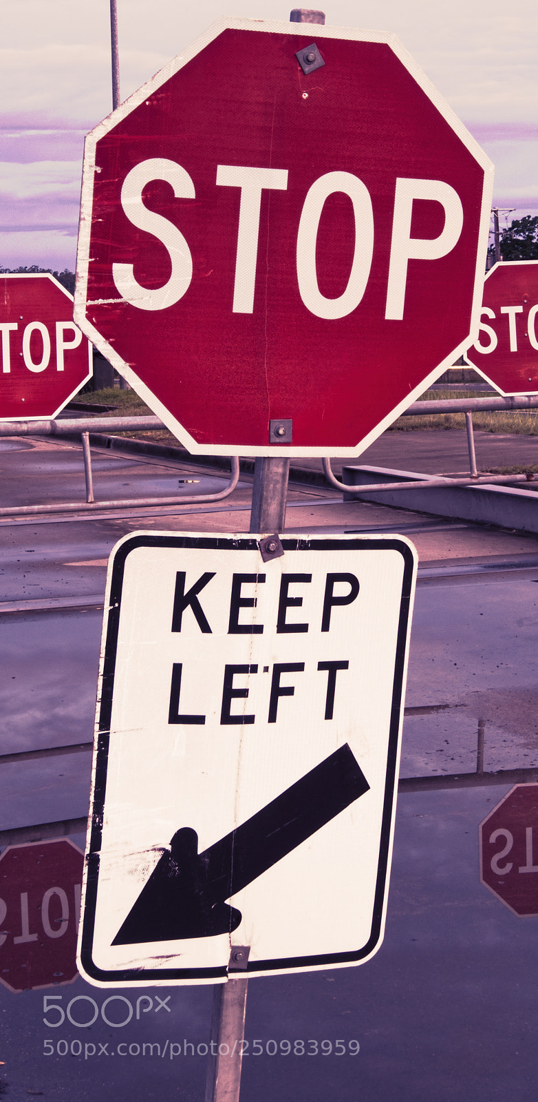 Nikon D800 sample photo. Road stop sign. photography