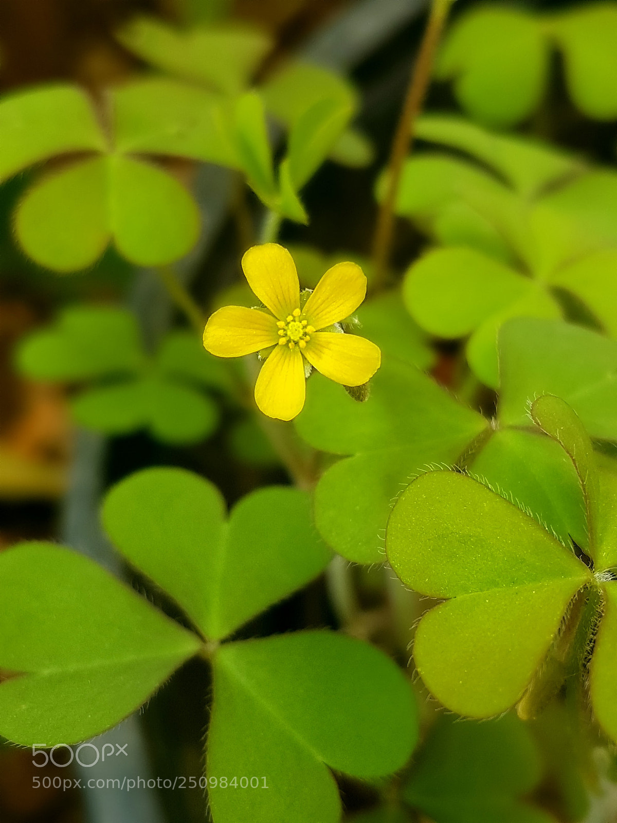 Samsung Galaxy S7 Edge sample photo. Untitled photography