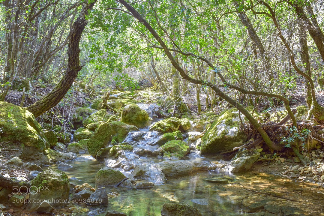 Nikon D5500 sample photo. Untitled photography