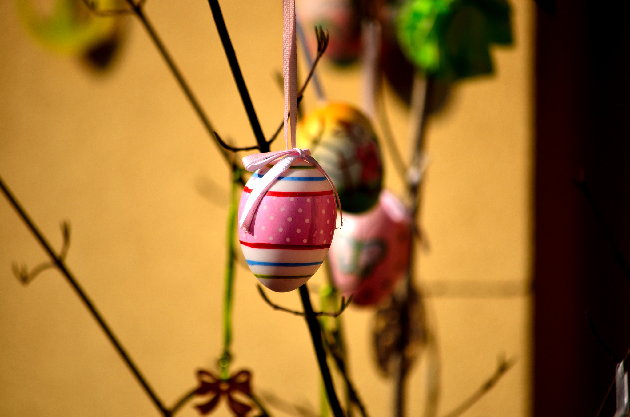 Nikon D7000 sample photo
