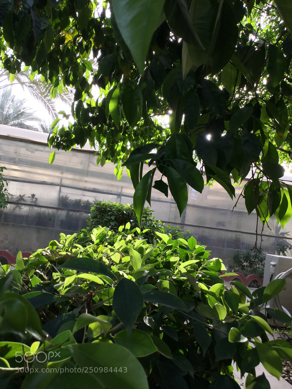 Apple iPad Air 2 sample photo. Untitled photography