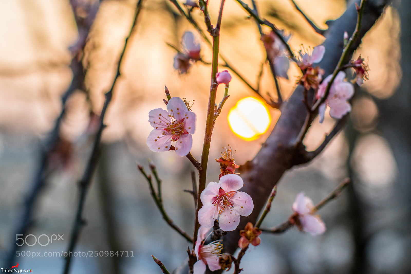 Canon EOS M3 sample photo. Love japan photography
