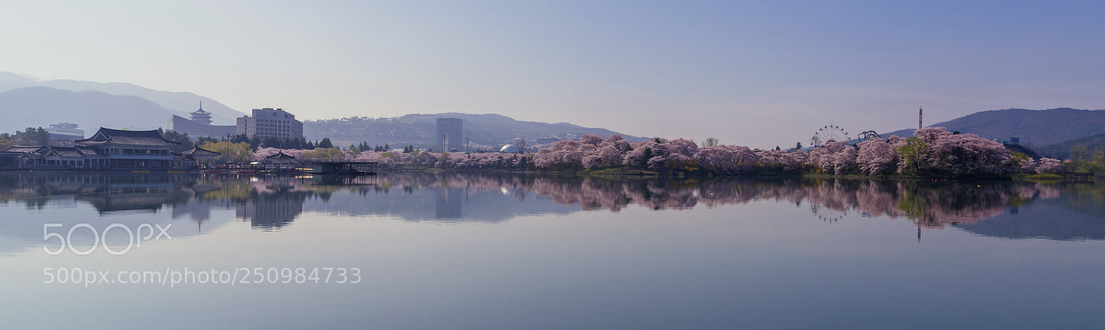 Nikon D810 sample photo. Spring of bomun lake photography