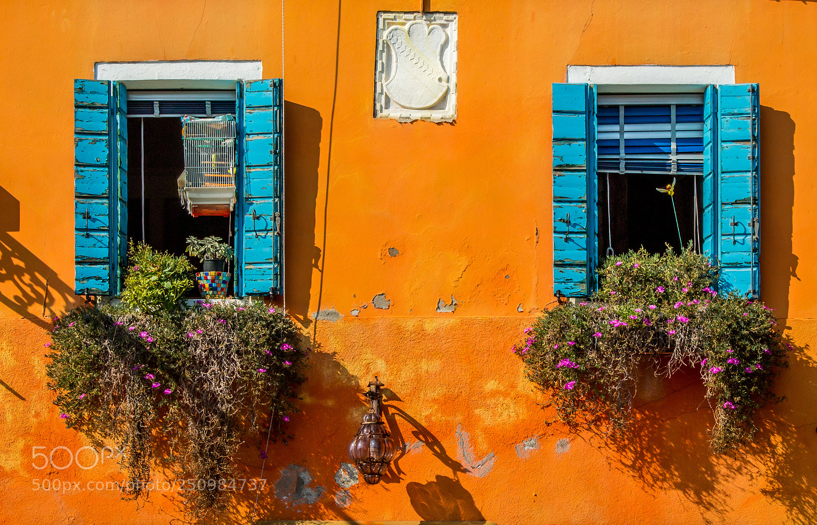 Canon EOS 70D sample photo. Orange photography