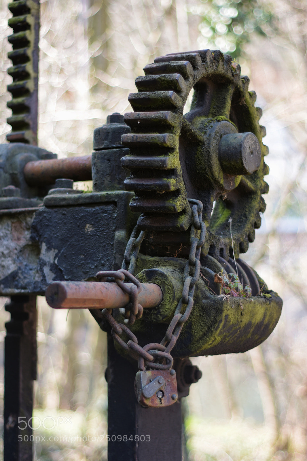 Nikon D7200 sample photo. 'old weir @ river nahe' photography
