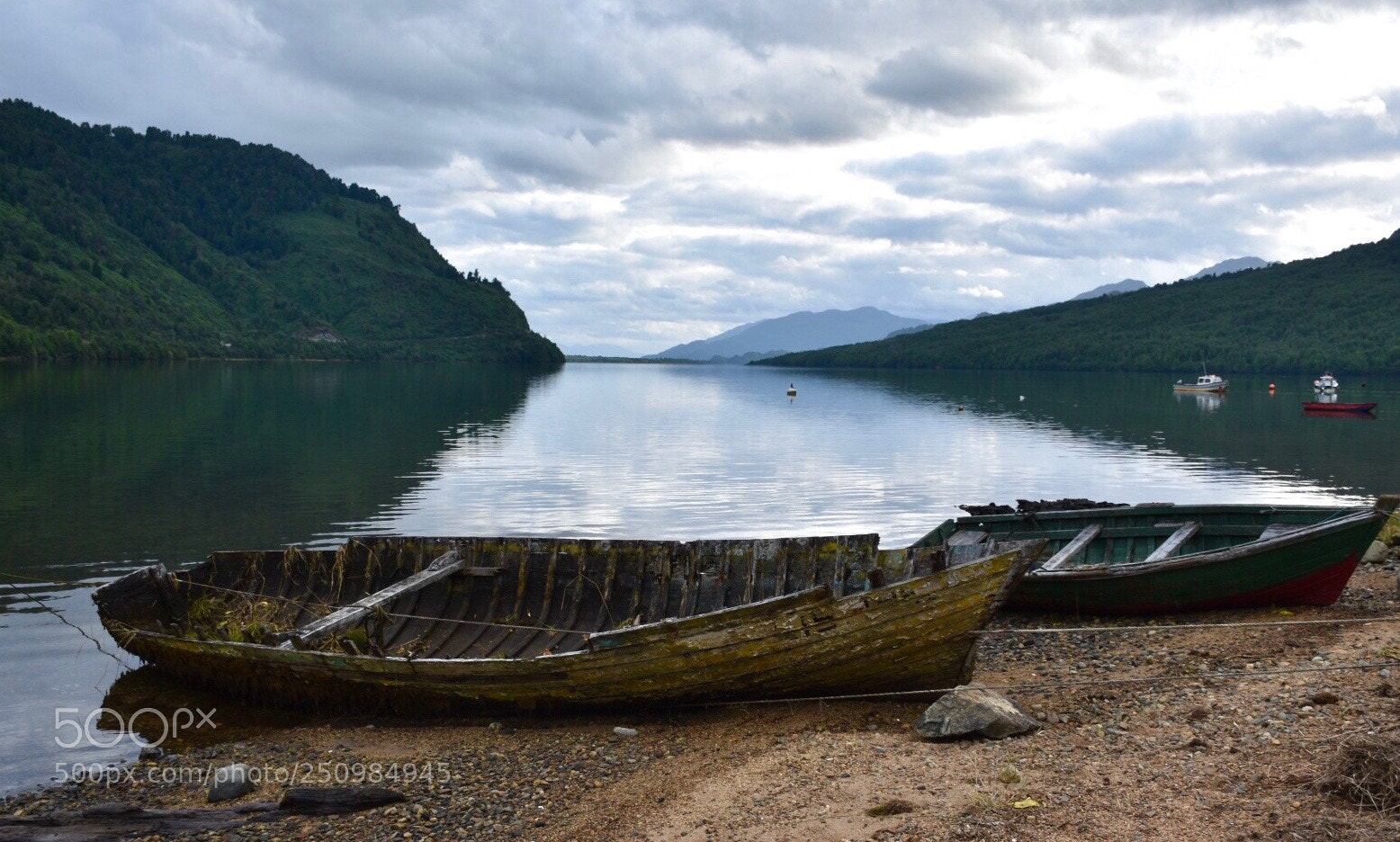 Nikon D5500 sample photo. Fiordo puyuhuapi, patagonia chilena. photography