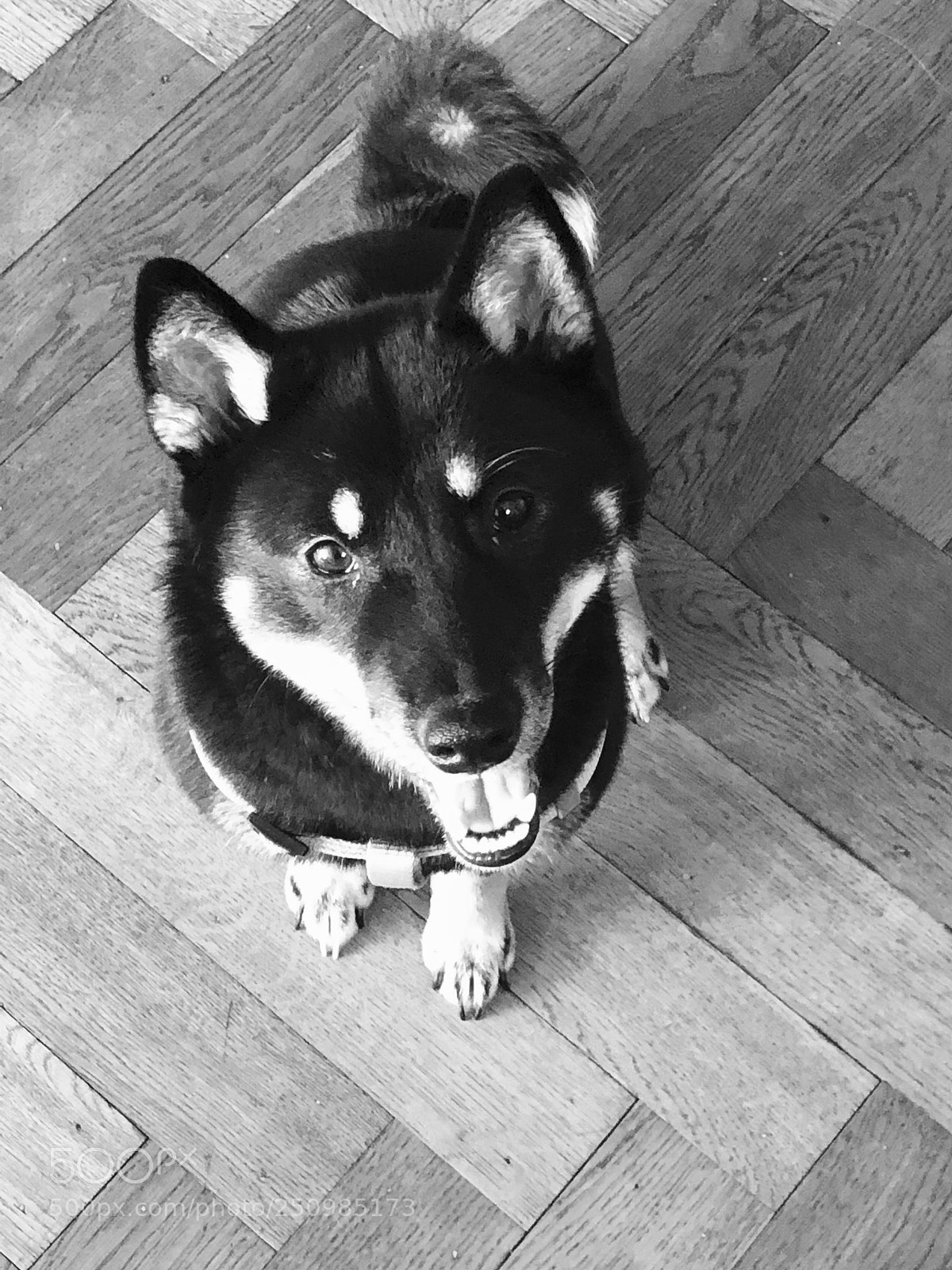 Apple iPhone 8 sample photo. ♥️? photography