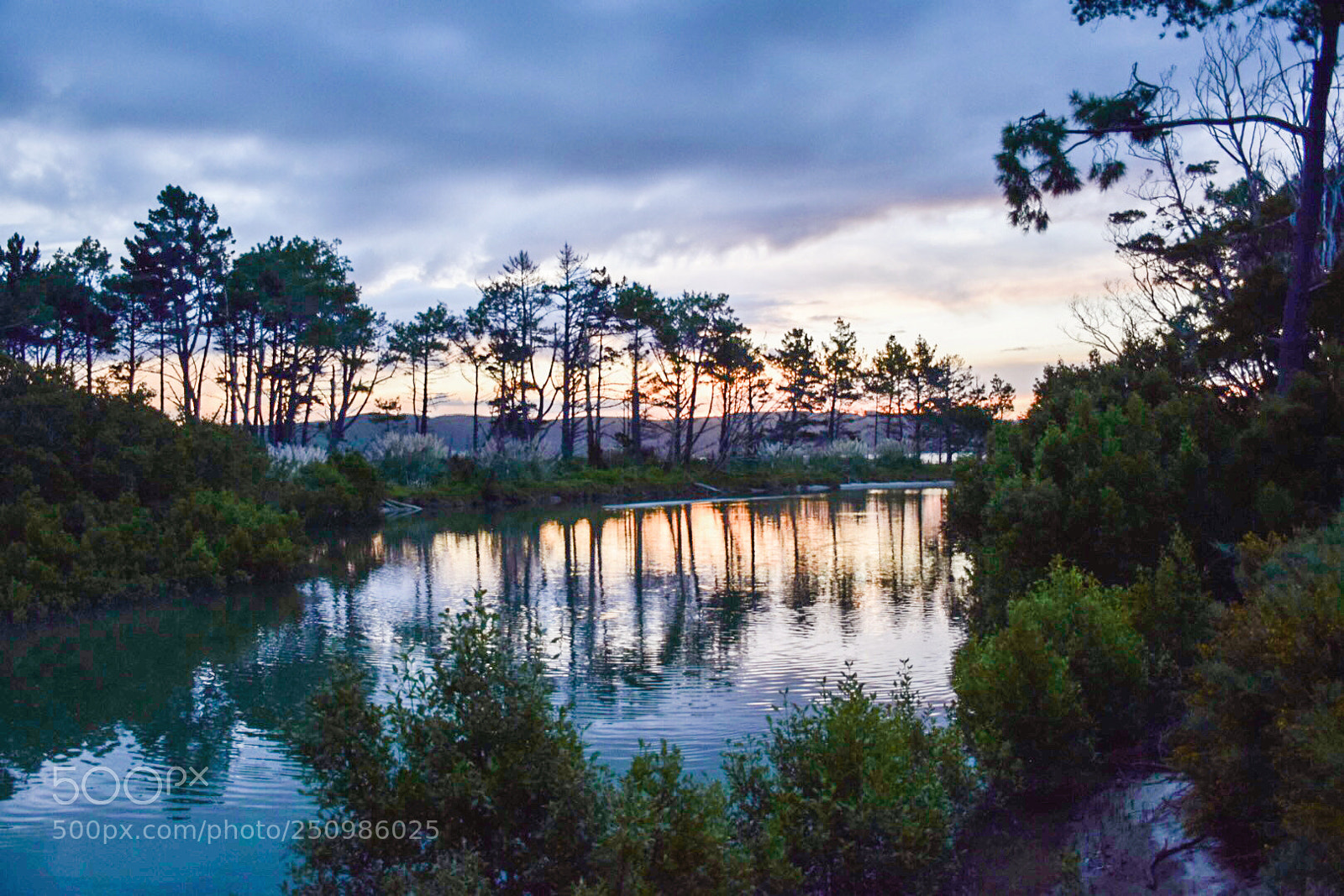 Nikon D5300 sample photo. Estuary photography