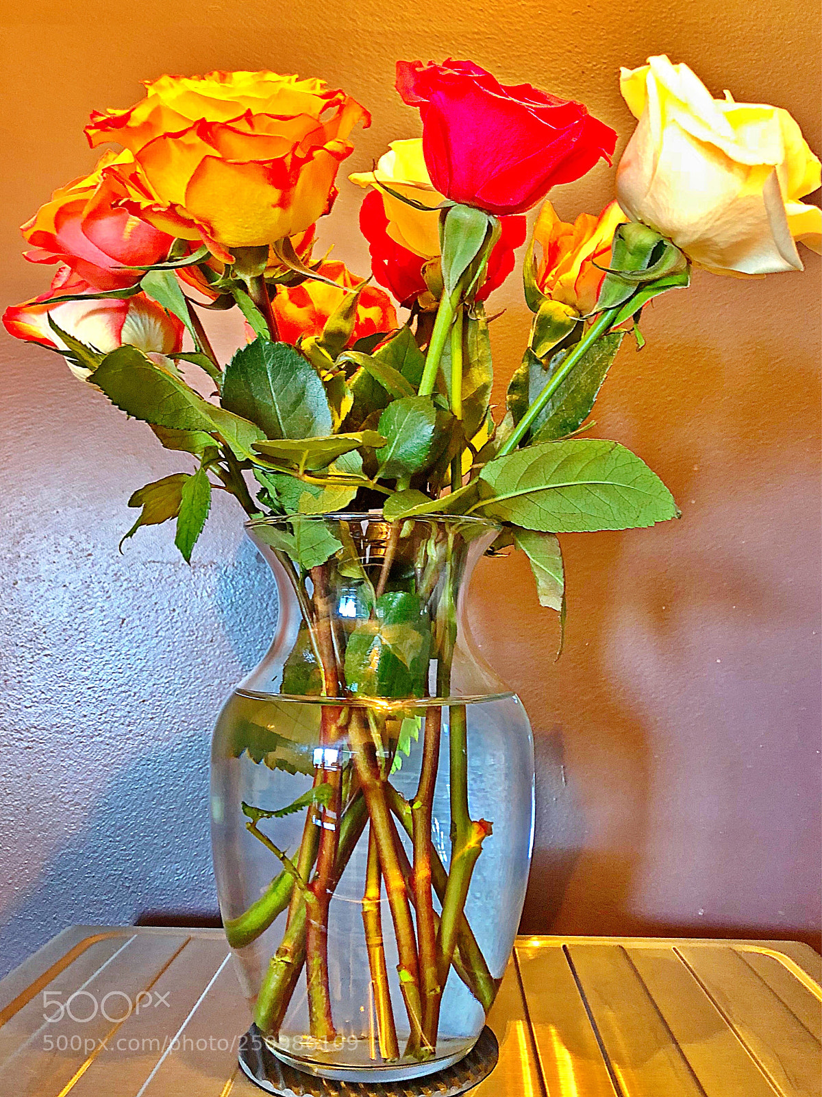Apple iPhone X sample photo. Roses photography