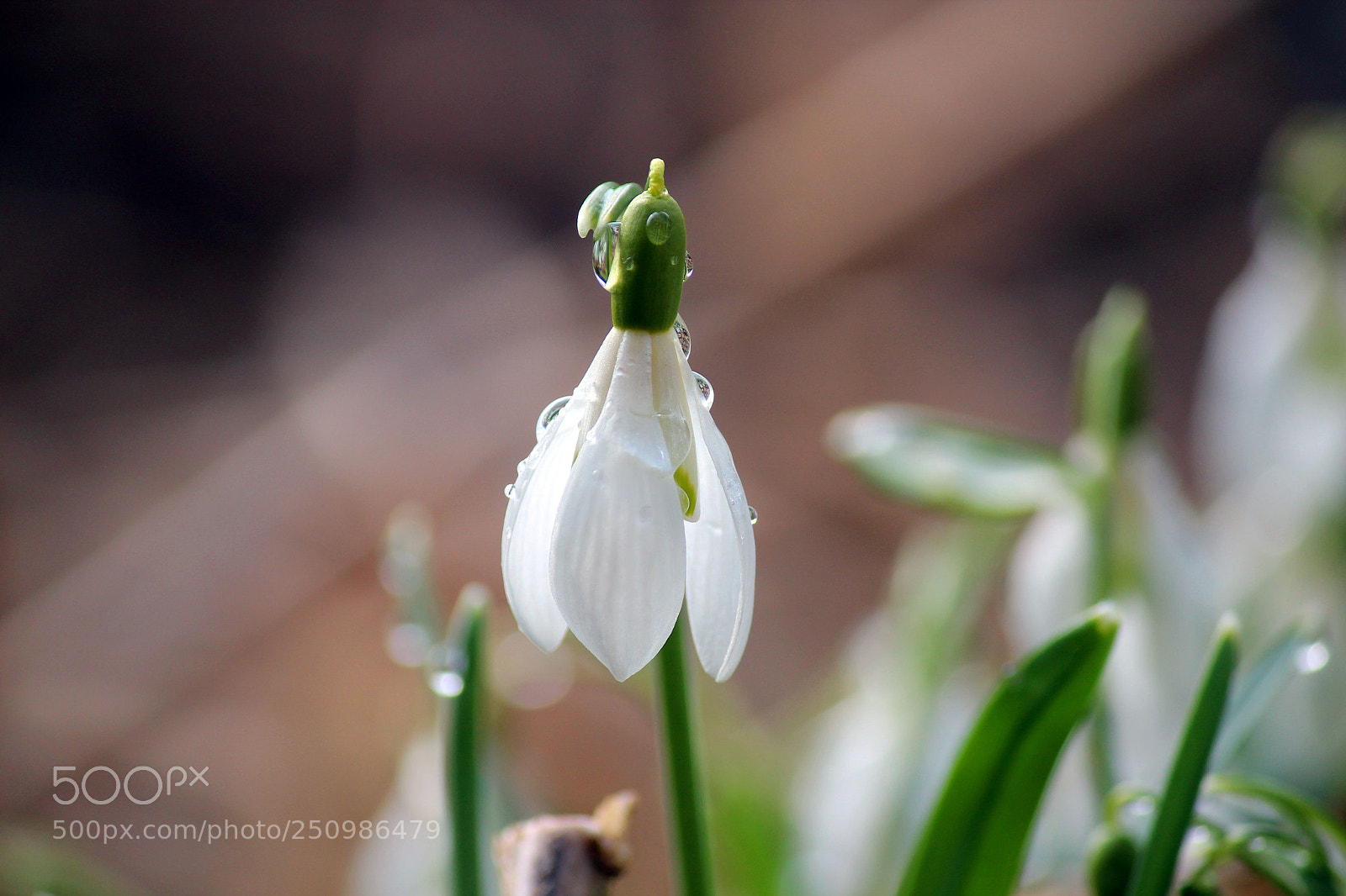 Canon EOS 600D (Rebel EOS T3i / EOS Kiss X5) sample photo. Waiting for paradise photography