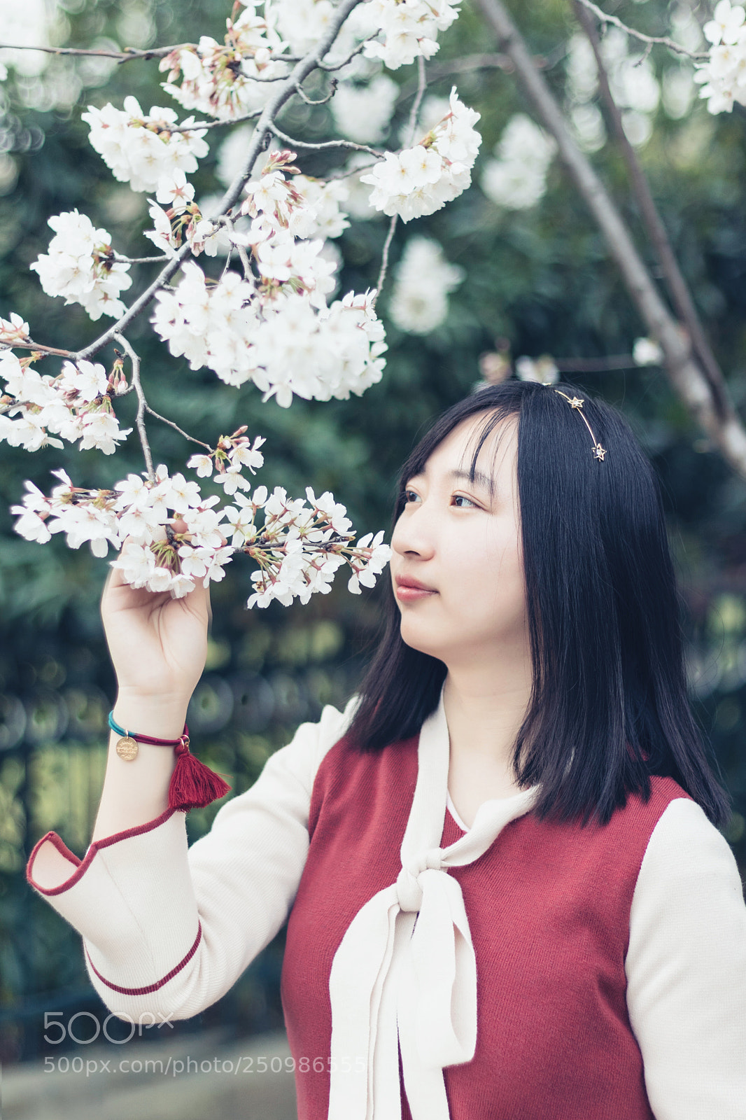 Canon EOS 80D sample photo. Untitled photography