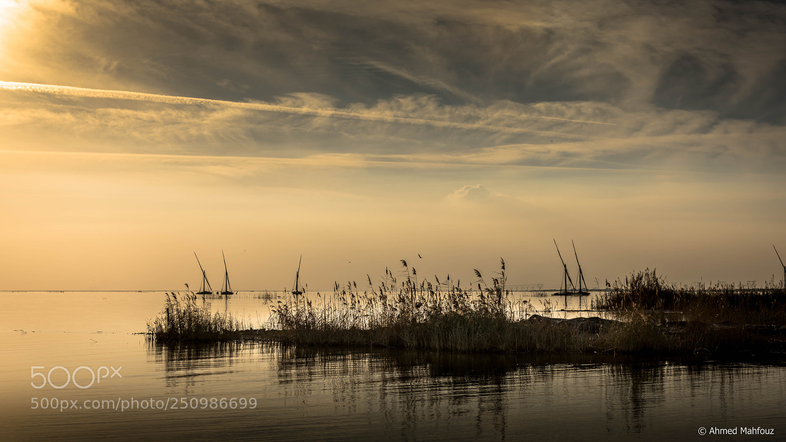 Nikon D810 sample photo. Burullus lake photography