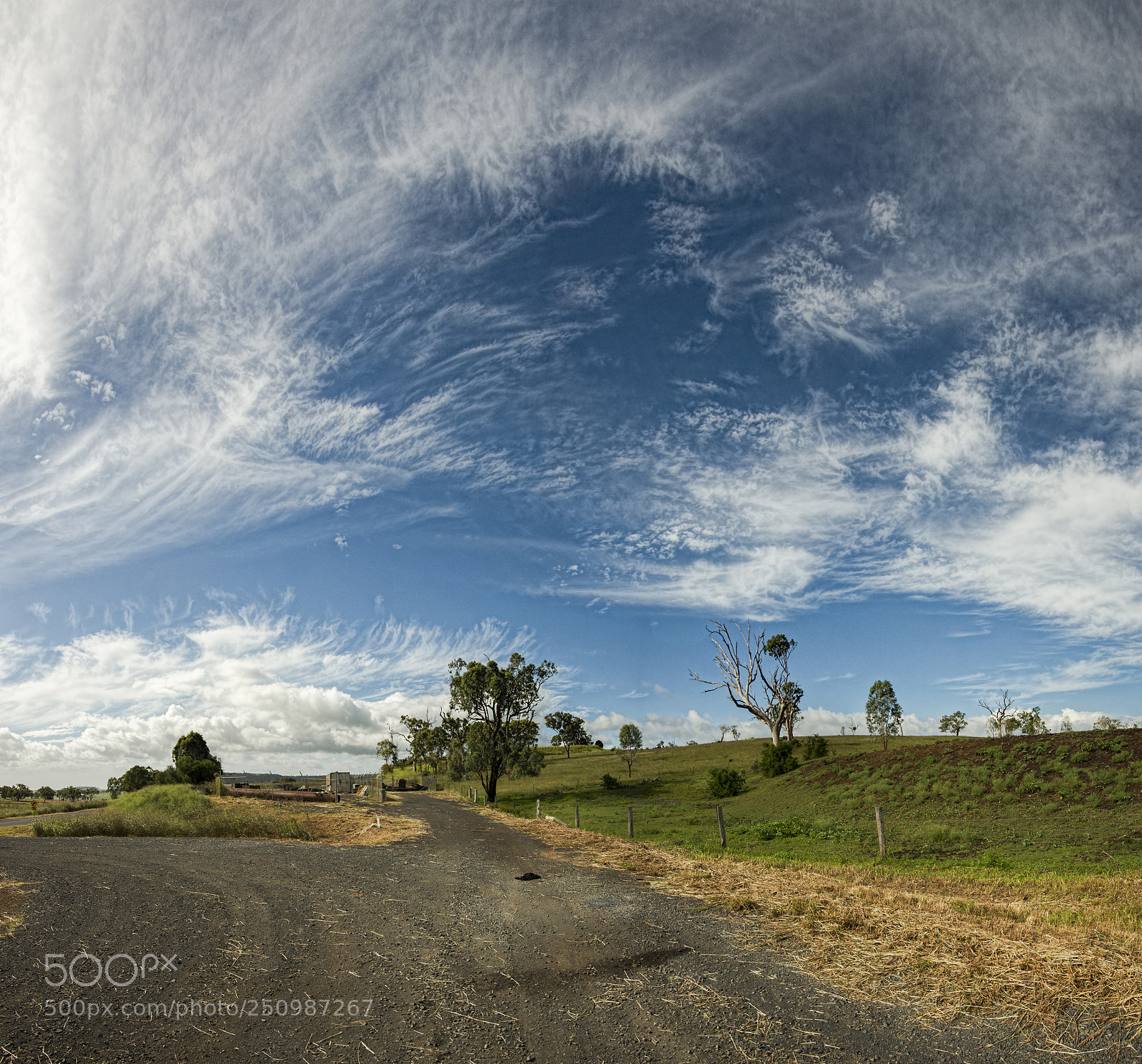 Nikon D800 sample photo. Road out in the photography
