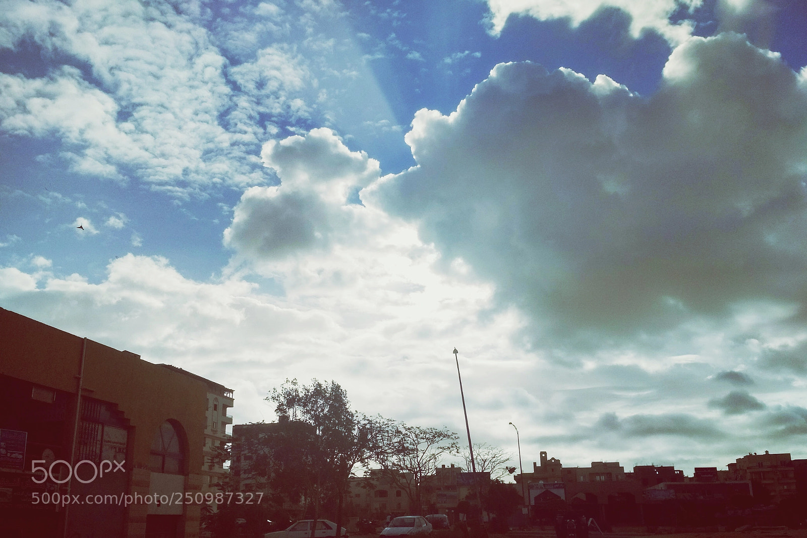 Xiaomi Redmi 4X sample photo. Untitled photography
