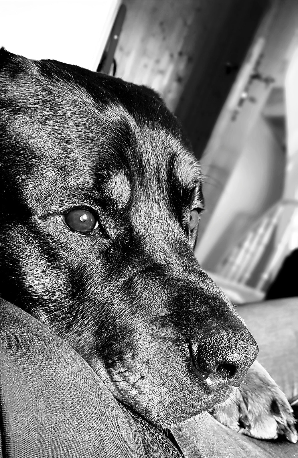 Samsung Galaxy S8 sample photo. Untitled photography