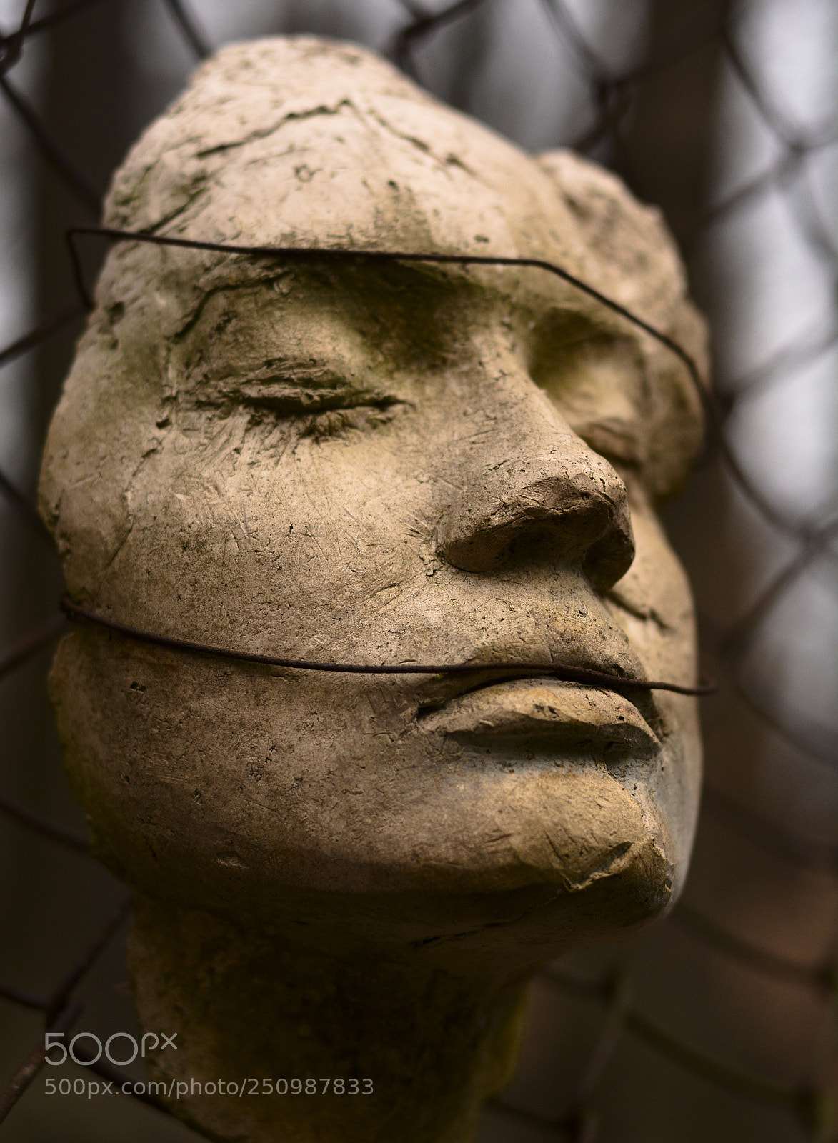 Nikon D7100 sample photo. Face from the fence photography