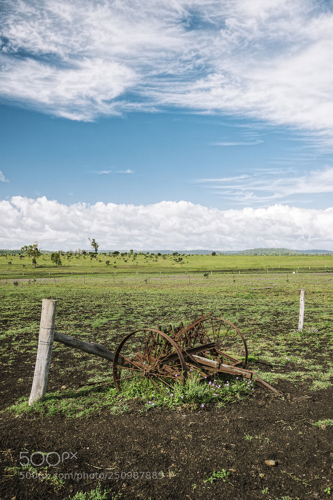 Nikon D800 sample photo. Country agricultural and farming photography