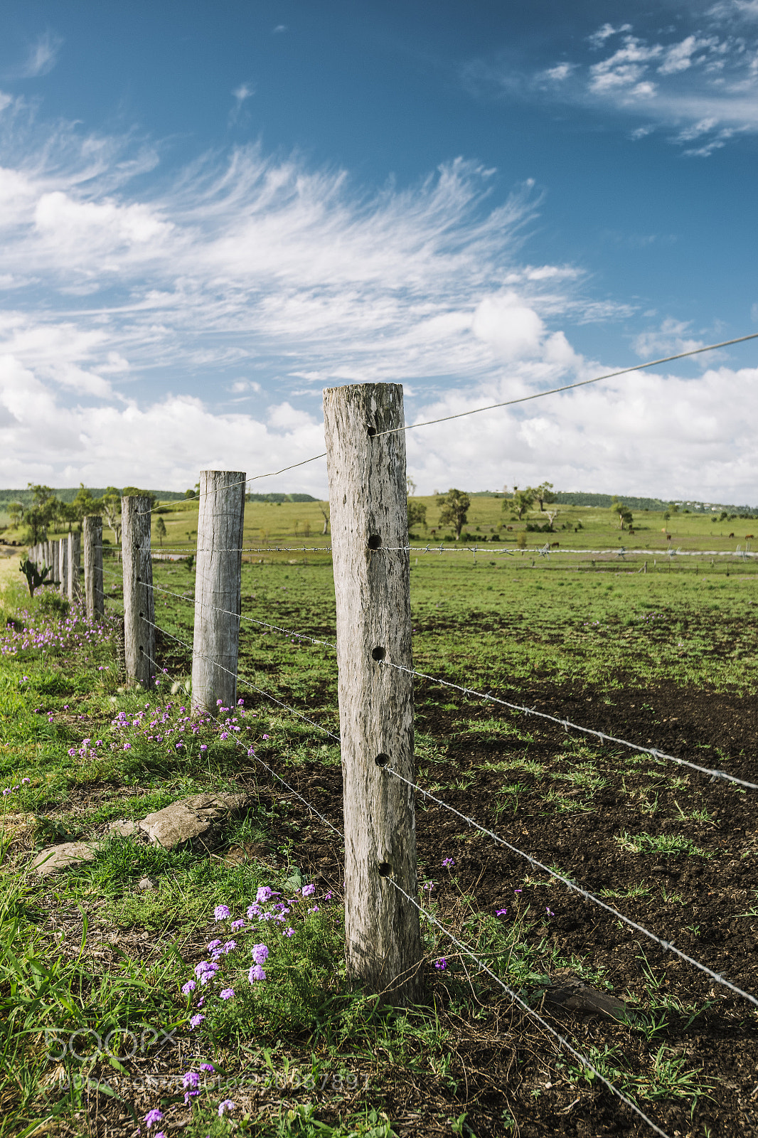 Nikon D800 sample photo. Country agricultural and farming photography