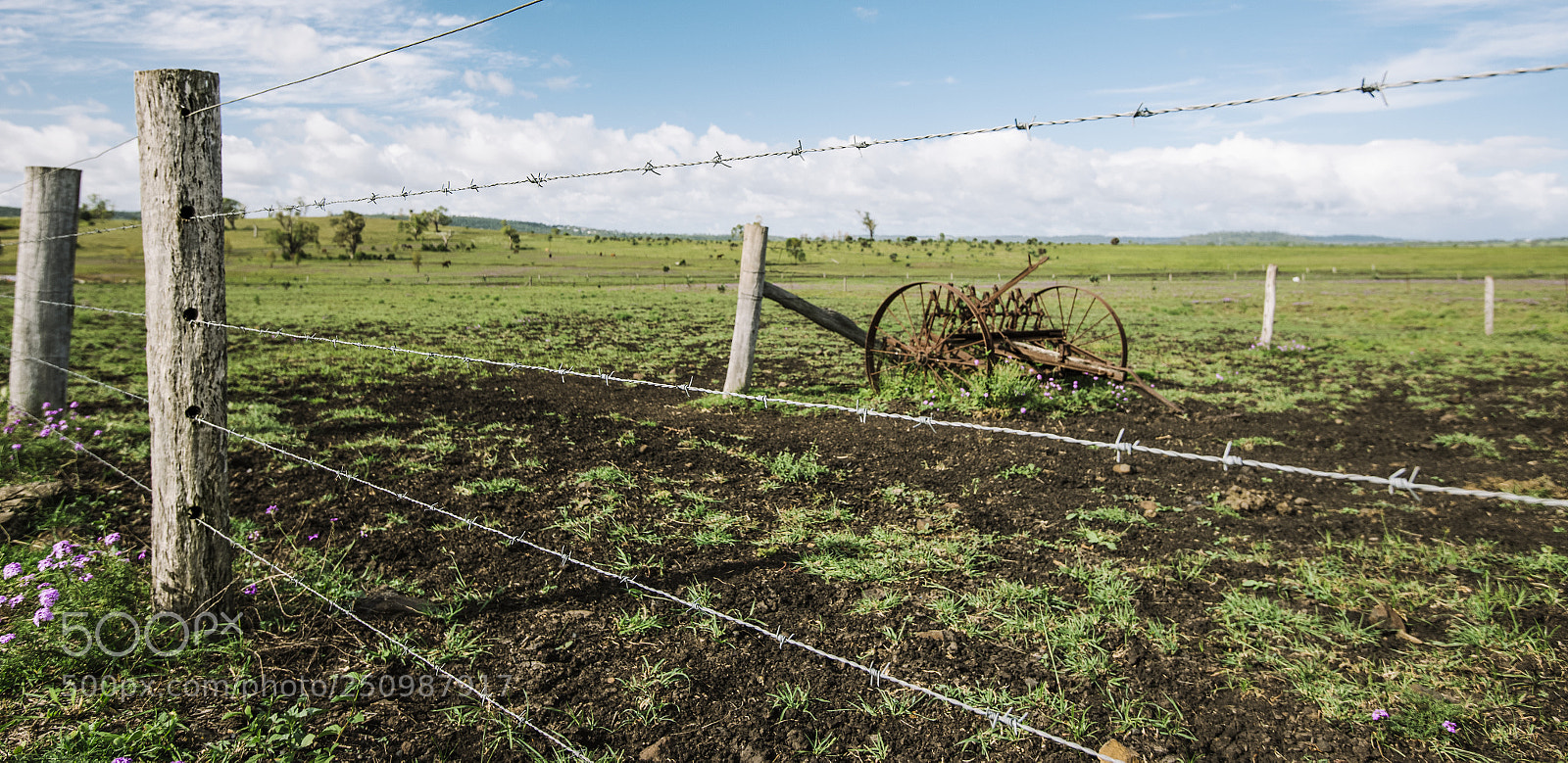 Nikon D800 sample photo. Country agricultural and farming photography