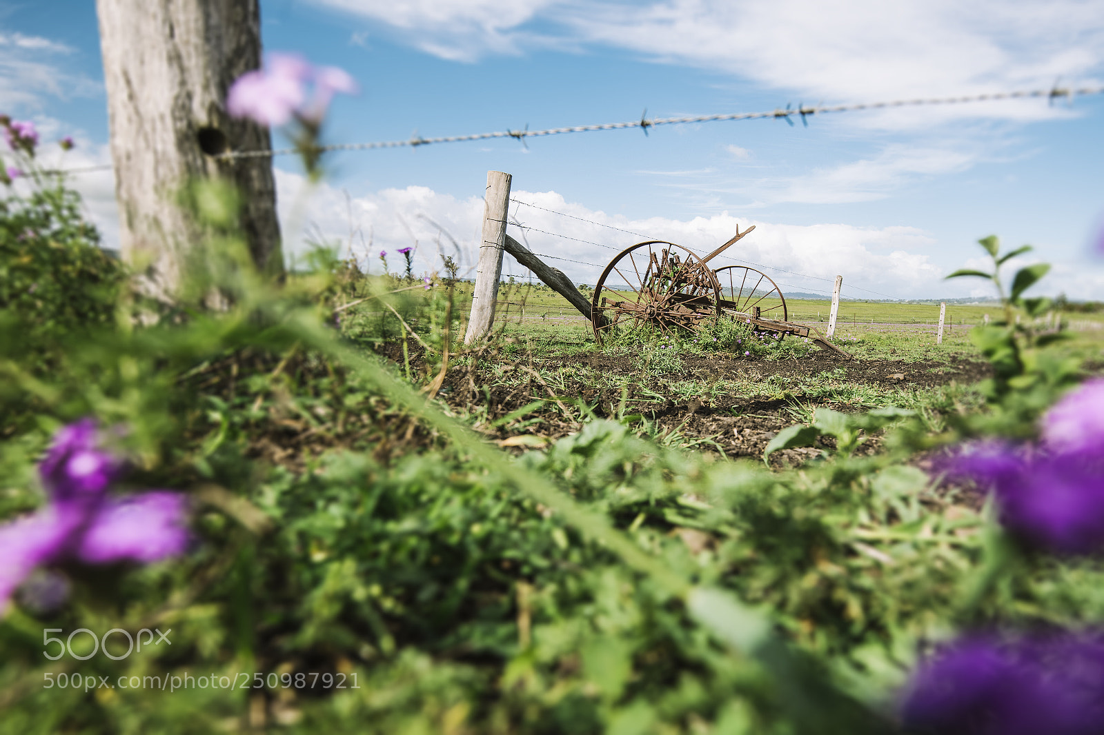Nikon D800 sample photo. Country agricultural and farming photography