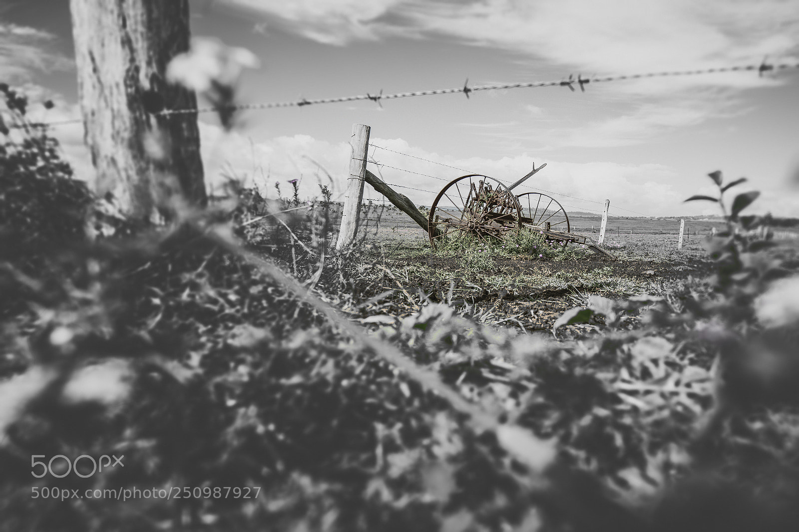 Nikon D800 sample photo. Country agricultural and farming photography