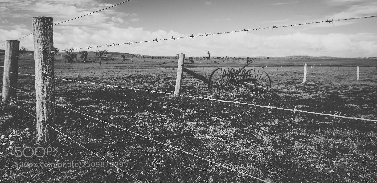 Nikon D800 sample photo. Country agricultural and farming photography