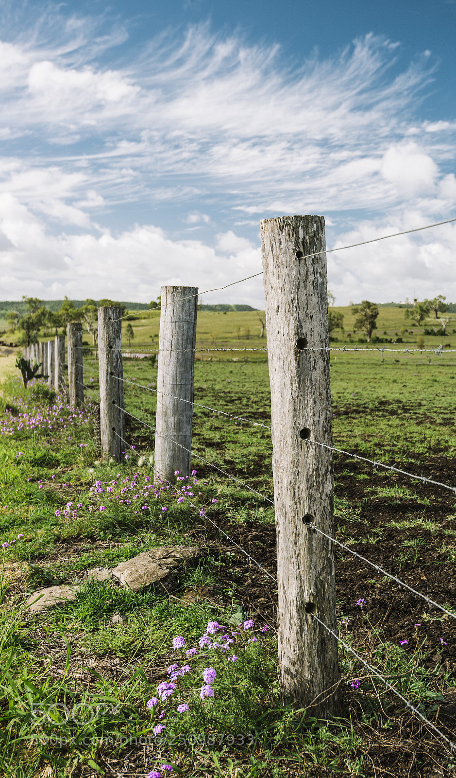 Nikon D800 sample photo. Country agricultural and farming photography