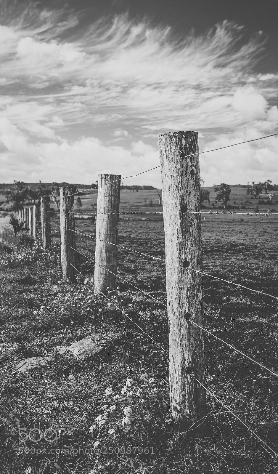 Nikon D800 sample photo. Country agricultural and farming photography