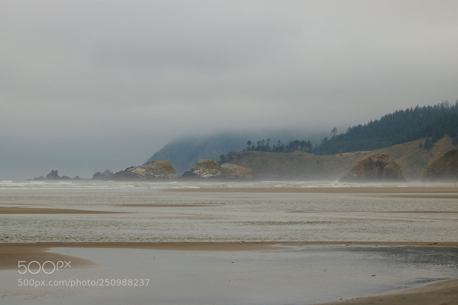 Canon EOS 760D (EOS Rebel T6s / EOS 8000D) sample photo. Haystack rock - cannon photography