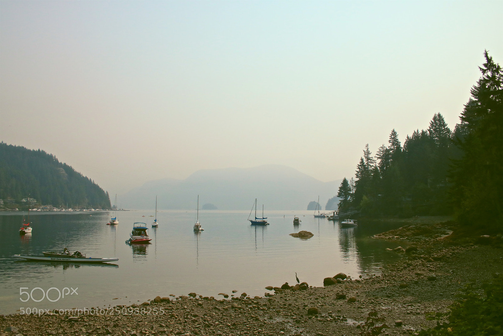 Canon EOS 760D (EOS Rebel T6s / EOS 8000D) sample photo. Deep cove - vancouver photography