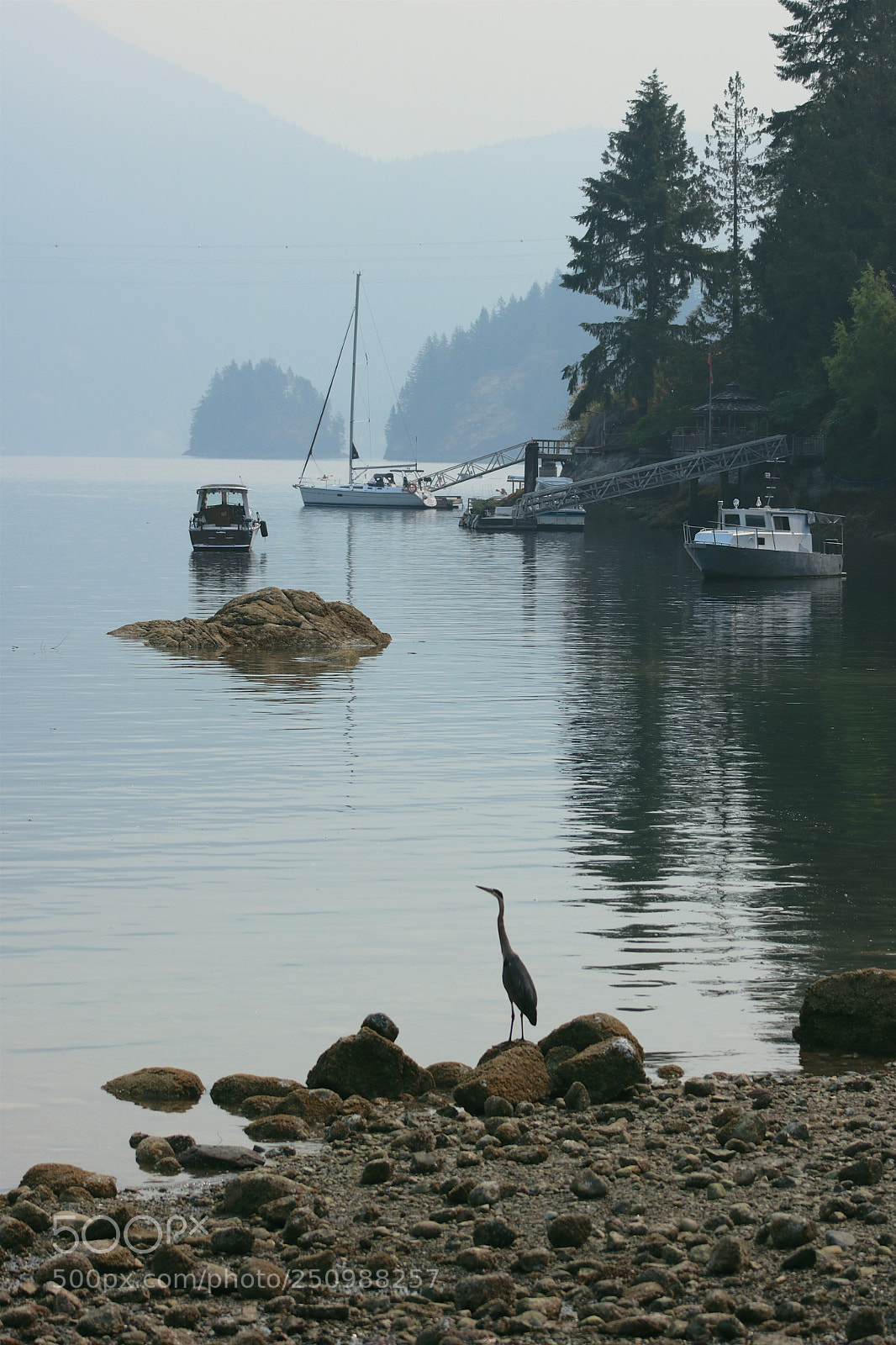 Canon EOS 760D (EOS Rebel T6s / EOS 8000D) sample photo. Deep cove - vancouver photography