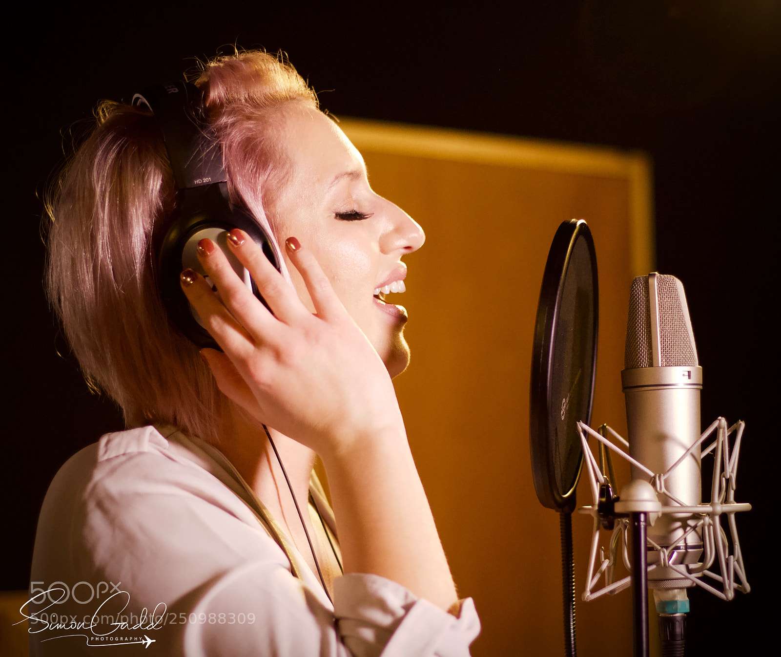 Canon EOS 700D (EOS Rebel T5i / EOS Kiss X7i) sample photo. The singer photography