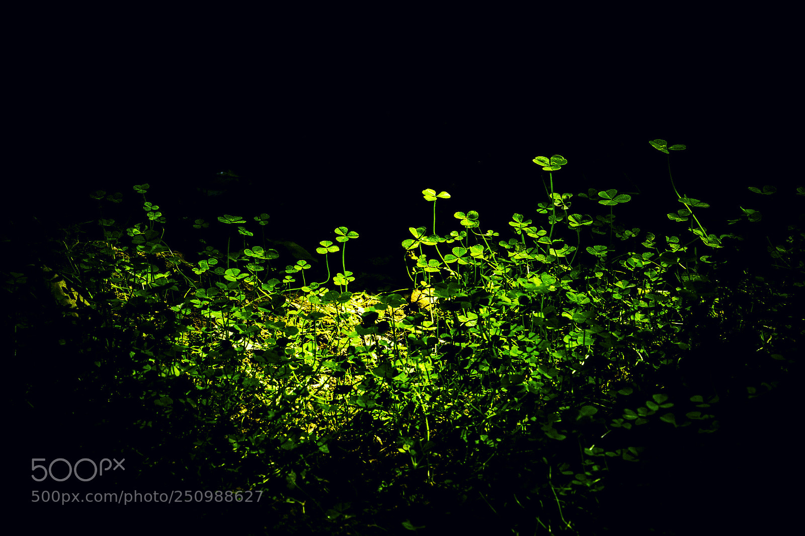 Canon EOS 70D sample photo. Untitled photography