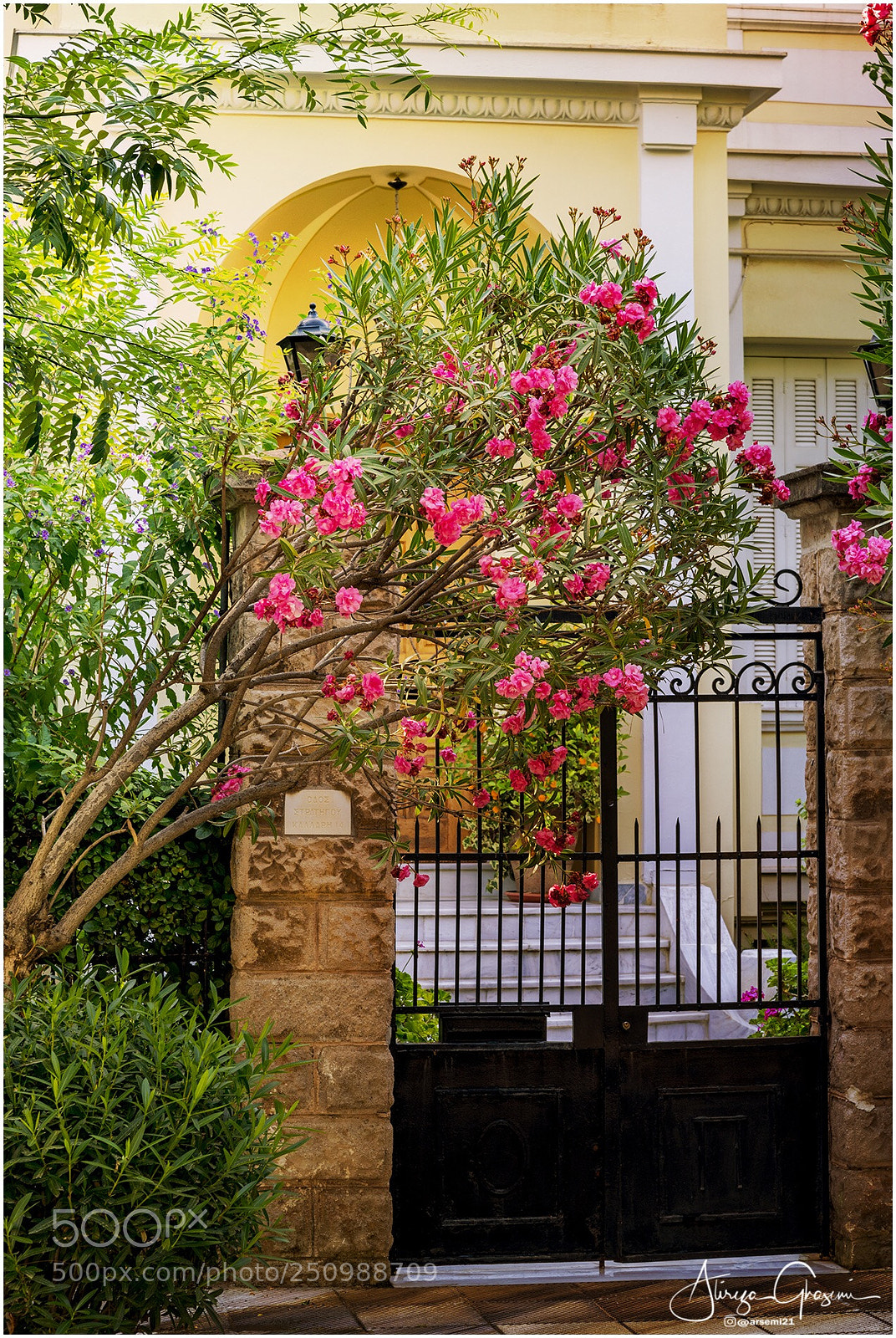 Nikon D600 sample photo. Flower gate photography