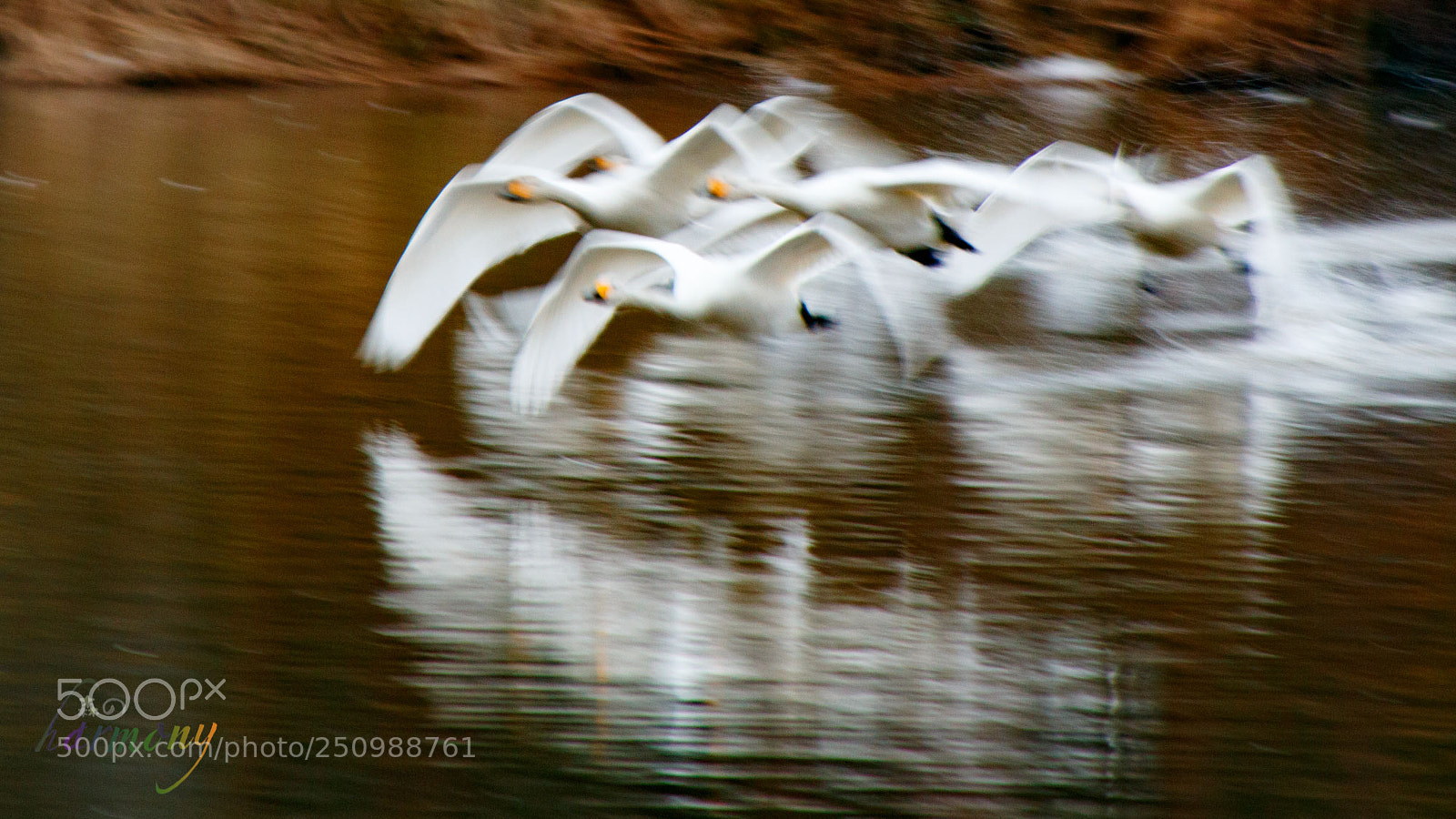 Canon EOS 70D sample photo. Let's fly to north photography