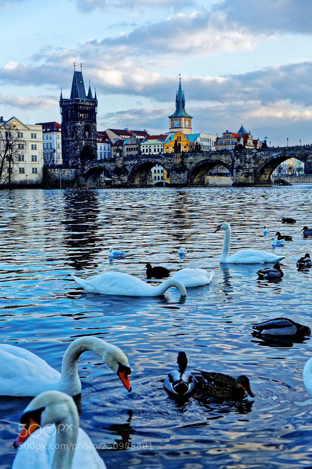 Canon EF 24-70mm F4L IS USM sample photo. Charles bridge photography