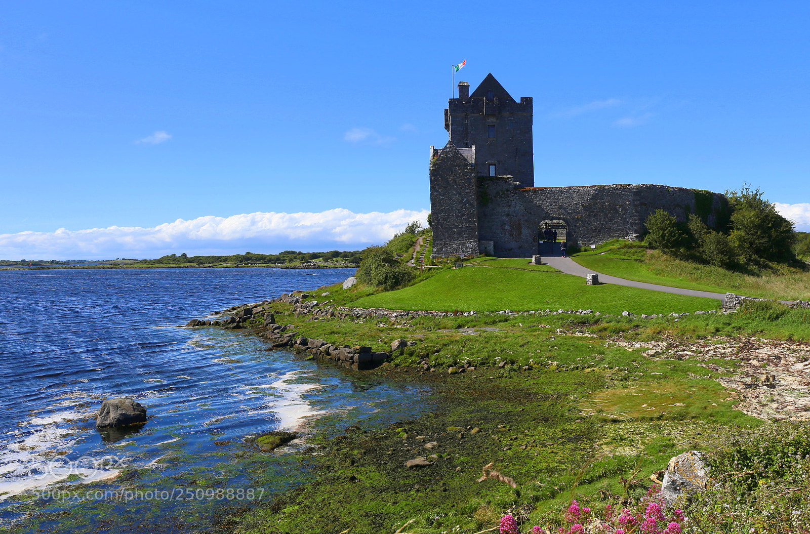 Canon EF 24-70mm F4L IS USM sample photo. Dunguaire castle photography