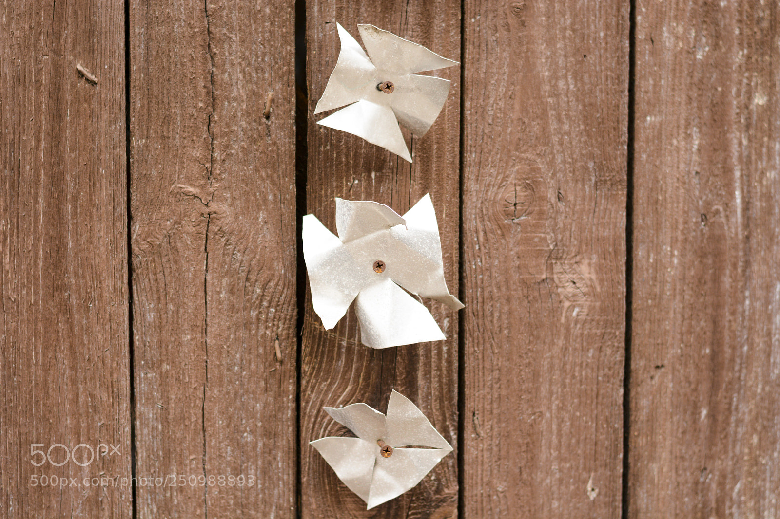 Nikon D7100 sample photo. Stars on the wood photography