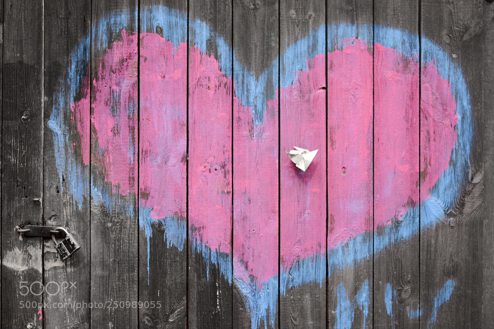 Nikon D7100 sample photo. Heart photography