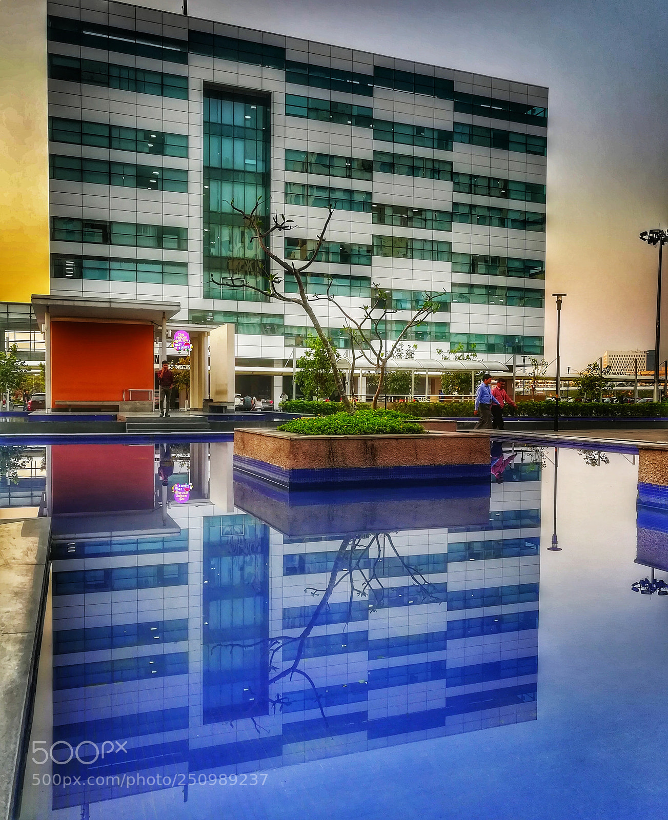 HUAWEI honor 6x sample photo. The image..... photography