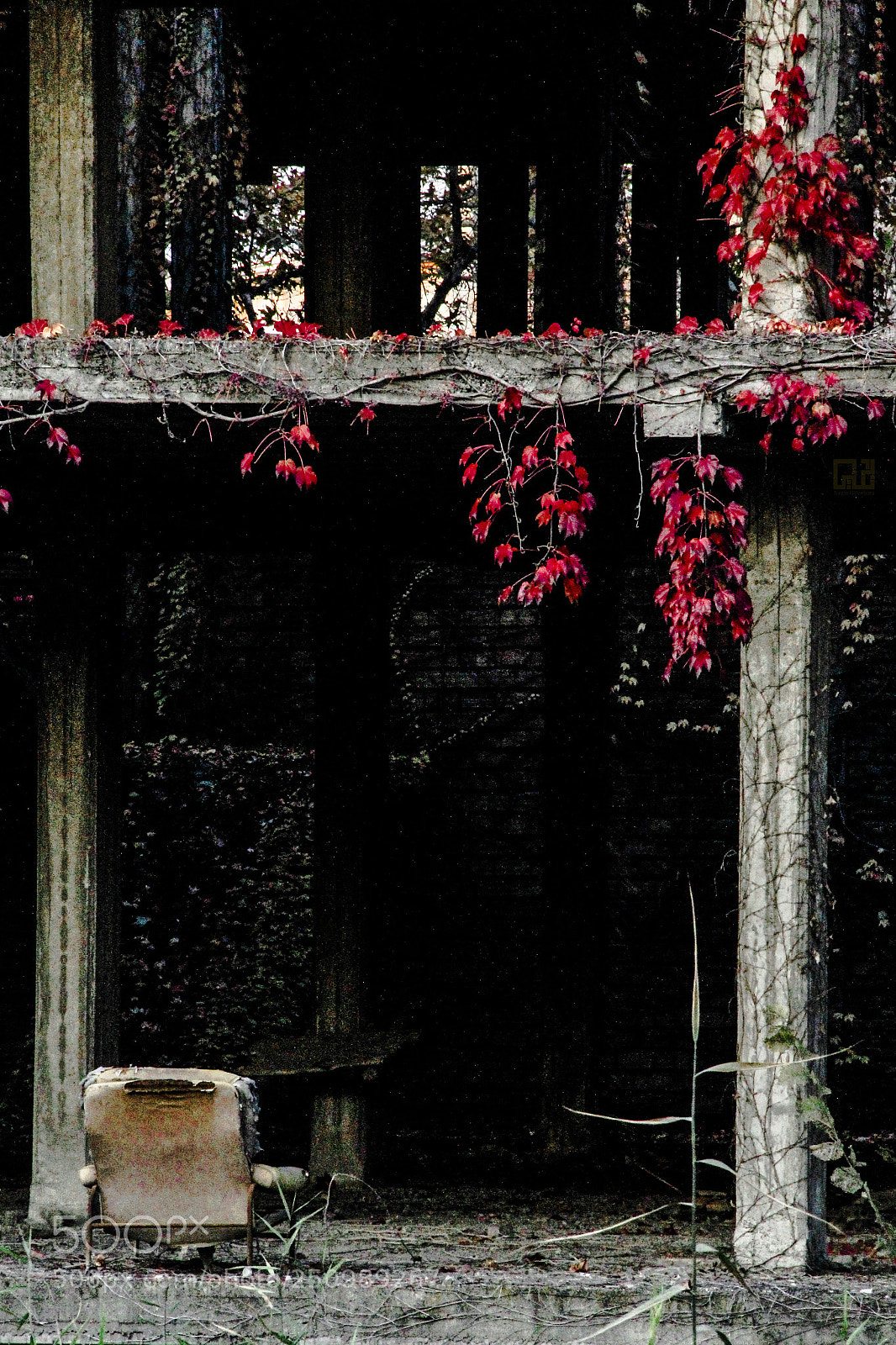 Canon EOS 550D (EOS Rebel T2i / EOS Kiss X4) sample photo. Empty dreams ... photography