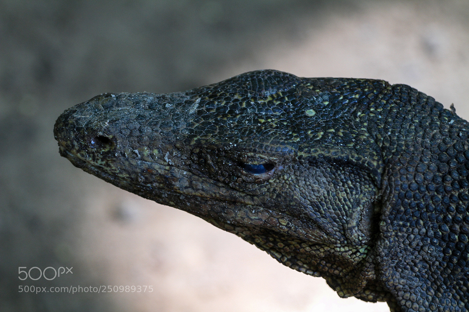 Canon EOS 7D sample photo. Scaled photography