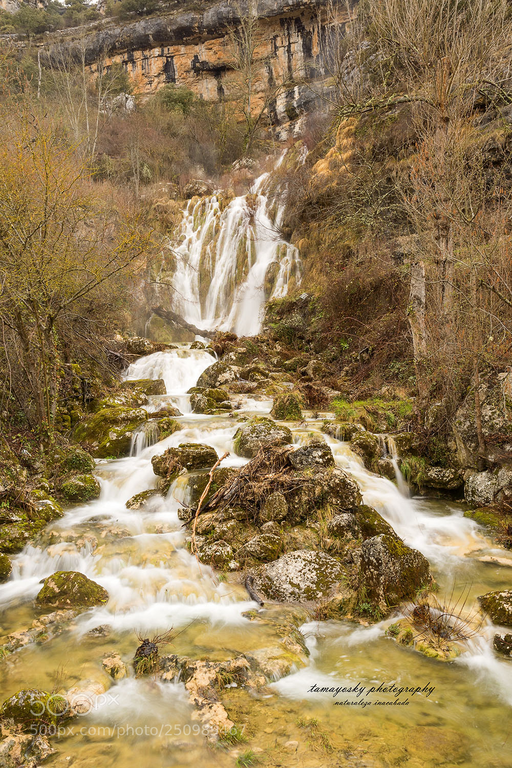 Nikon D810 sample photo. Untitled photography