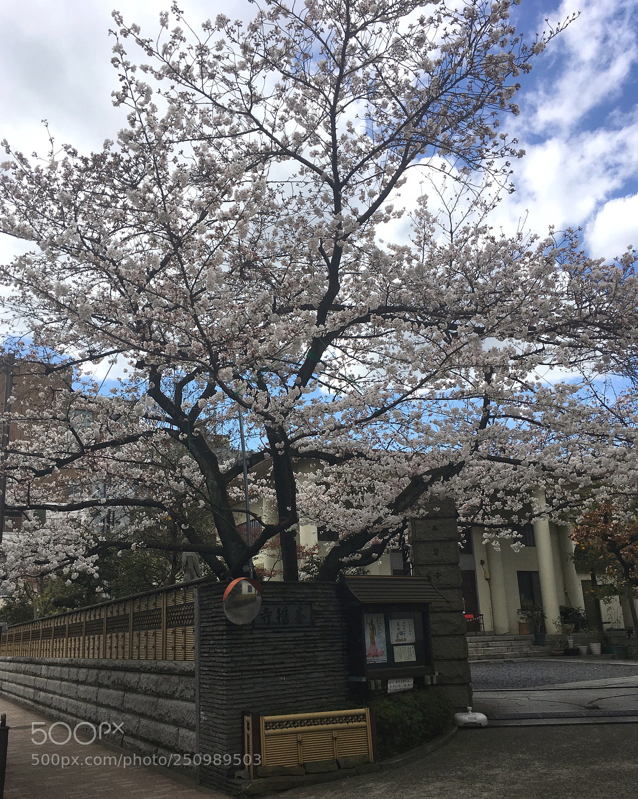 Apple iPhone SE sample photo. Untitled photography