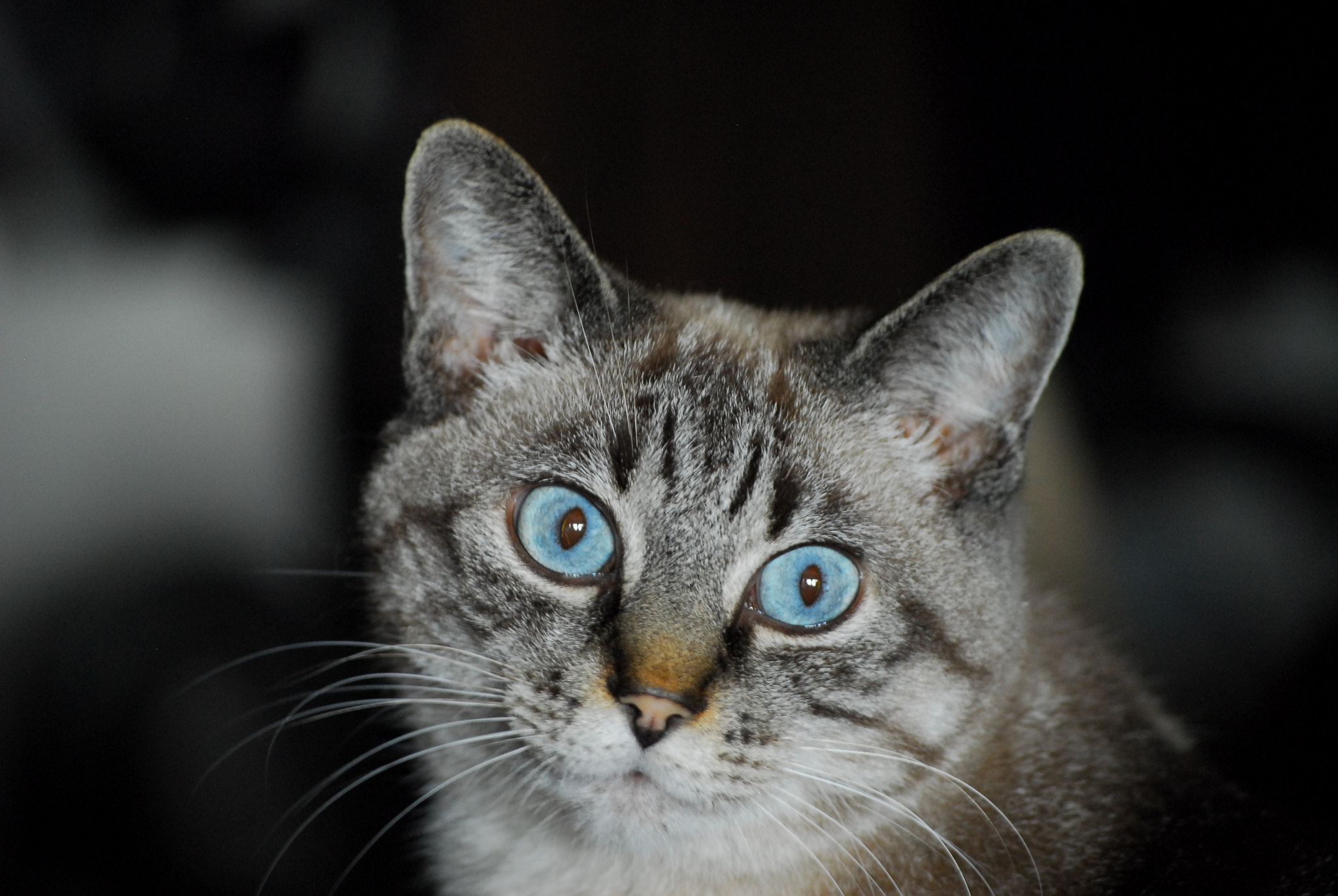 Nikon D200 sample photo. Think about you photography