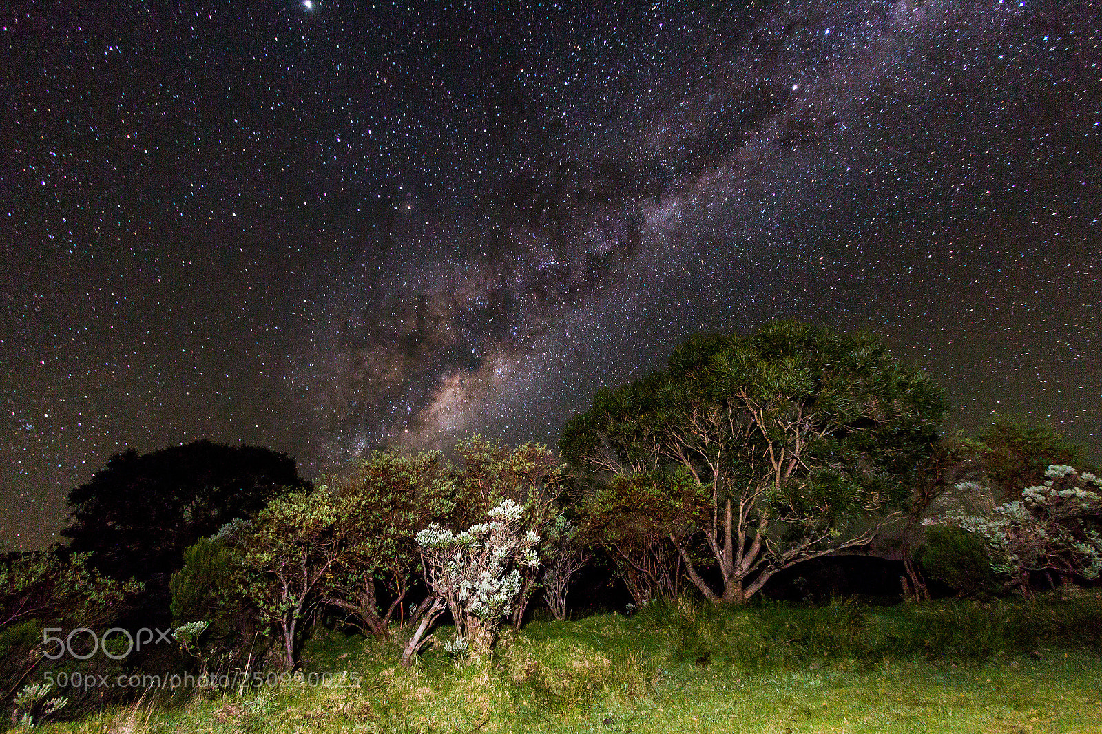 Canon EOS 70D sample photo. Beauty of night sky photography
