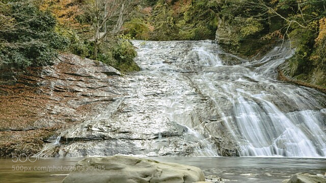 Nikon D610 sample photo. Untitled photography