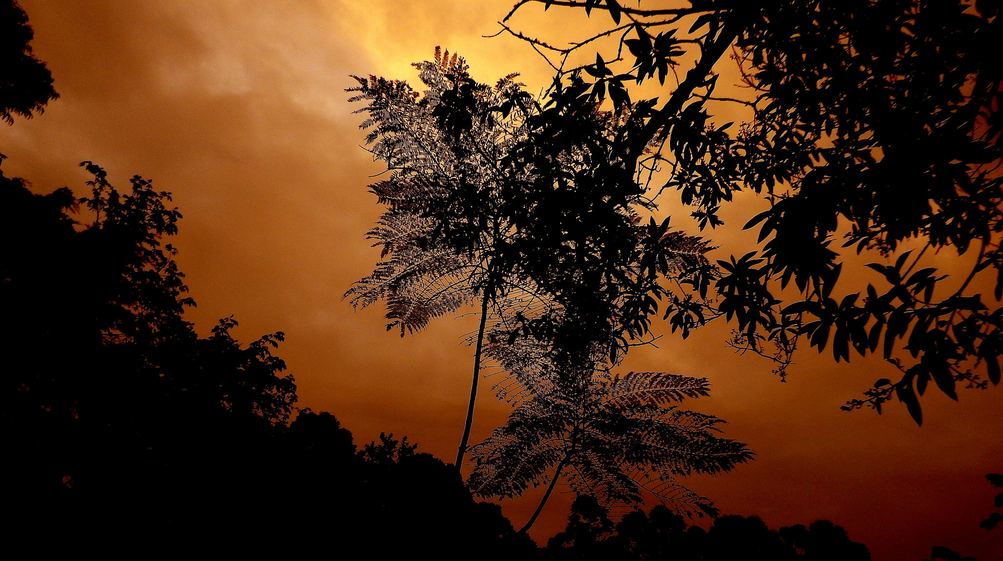 Fujifilm FinePix SL1000 sample photo. Day end ..... photography