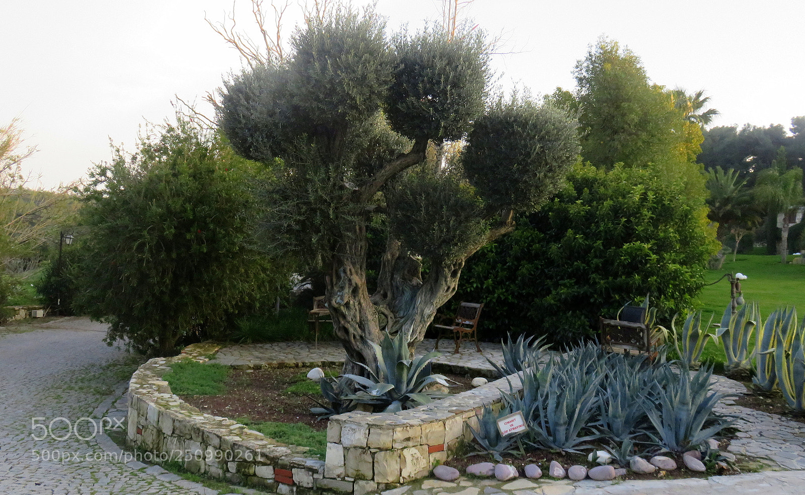 Canon PowerShot SX710 HS sample photo. Img photography